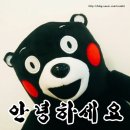 블랙페이퍼학원 | [중성펜] 안 써본 사람은 없을걸? 만인의 펜 겔리롤!