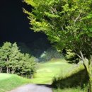 도그센추리 이미지