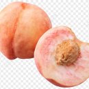 반도식품 이미지