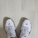 6404 | [나이키 P-6000 메탈릭 실버] 누가 신어도 발편한 운동화 후기 (CD6404)