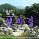 제320차(2023. 7. 16) 정기산행 - 함양 선비문화 탐방로 트레킹 이미지