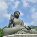 [국부론] 보이지 않는 손 속에 감춰진 시대의 통찰 | 검은 아기 고양이 – 오해 속에 감춰진 사랑스러움