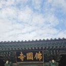 어룡 Daum카페