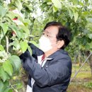 일직면행정복지센터 이미지