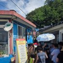 송골 | 포항 전현무계획 회덮밥 맛집 송골횟집 웨이팅, 주차 후기