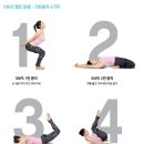 수지SNPE바른자세척추운동