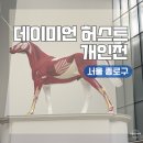 알록달록 우리, 책으로 만나요 (A반) | 서울 종로구 전시 가볼만한 곳 국립현대미술박물관ㅣ데이미언 허스트 개인전
