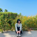 예포토