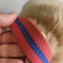 성심원한의원 이미지