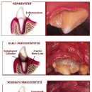 모모동물병원 이미지