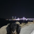 해운대캇트 이미지