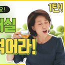 무설탕 매실 먹는 법 1탄 2편! 매실 말리는 법, 매실 섭취 주의하실 분 알려드려요 ② 조회수 5.2만회 2년 전 이미지