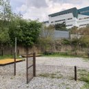 물골안랜드 이미지