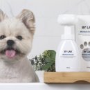 세정헬스케어 이미지