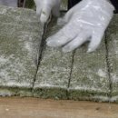 함평참쑥 영농조합법인 이미지