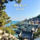 정암자동차 | 부산 여행 필수 코스 해동용궁사 주차꿀팁 주차장 최신 정보