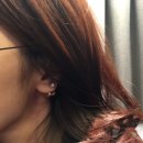 바이헤세드 이미지