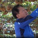 호암농장 이미지