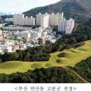 연산동고분군 이미지