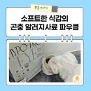 아미덴탈 | 시니어 강아지 곤충 알러지사료 소프트한 식감 파우클 하이포프로 추천
