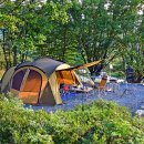 핫캠핑장 이미지