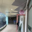 써티필라테스 | 배곧 필라테스 올바른에서 1:1 개인레슨 후기