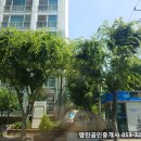 (주)네스빌