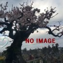 계산길공인중개사사무소 이미지