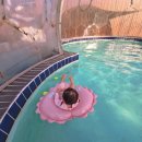 천송이풀빌라 | 전주키즈풀빌라 천송이풀빌라 — 아이와 함께 완전 만족 감동후기