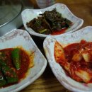 울릉도태양식당따개비칼국수 네이버블로그