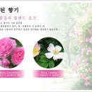 화장품플러스 - 성북구 화랑로11길 26 | 화장품플러스