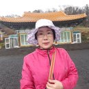 스테이안봉 | 한라산 650m 중턱에 자리한 관음사(제주시 아라1동 산38)