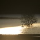 남하대야리 이미지