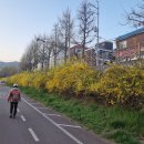 석수시장_하 이미지