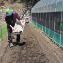 삼성여고 앞 1 이미지