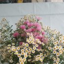 (주)수레 이미지