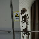 선사유적지 이미지