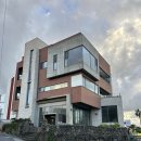 수수별장 | 제주도 조천읍 함덕 숙소추천 오션뷰 펜션 수수별장 1호 후기