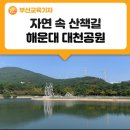 웰빙 12월 송년 산행 해운대 장산 이미지