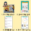 사이서가 이미지