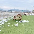 우다다 유치원 이미지