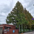 진위서로 이미지