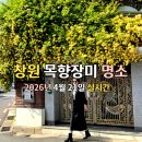 태복산로-2 | 창원 가볼 만한 곳 가고파갤러리 목향장미 2026년 4월 21일 실시간 방문 후기
