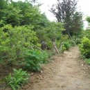 풀천지농장 이미지