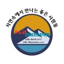 밤에 떠난 여인 이미지