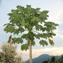 우현 농장 이미지