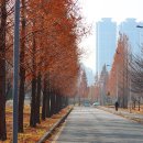 가림이 힐링 이미지