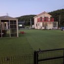 더스테이 골드독 이미지