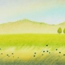 (주) 생각의 씨앗