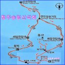 [3월23일] 동백꽃이 아름다운섬 내도,화사한 수선화꽃의 공곶이 이미지